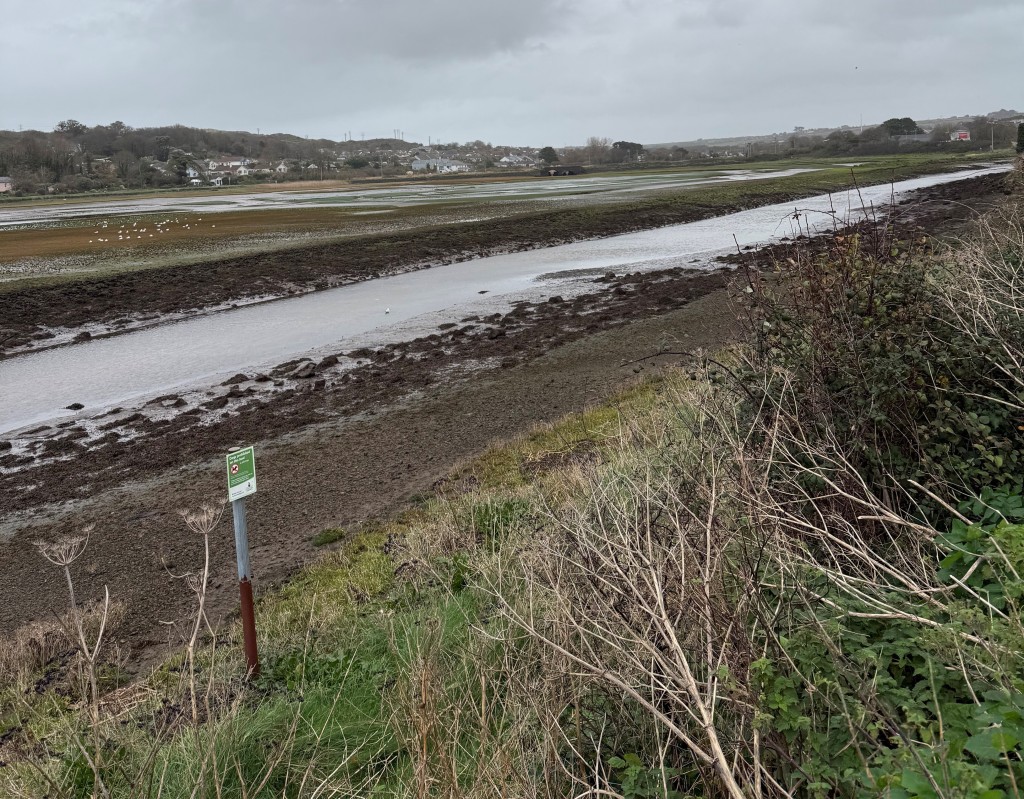 Lot: 26 - TWO PARCELS OF FREEHOLD LAND - View from grass verge over Estuary